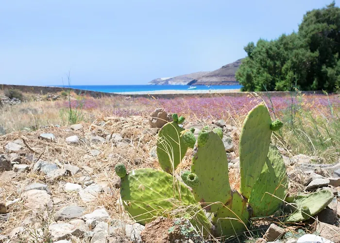 Βίλα Serifos Beachfront *