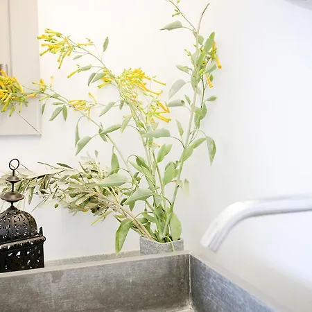 Serifos Beachfront *