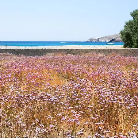 Serifos Beachfront Villa