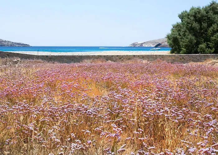 Serifos Beachfront Villa